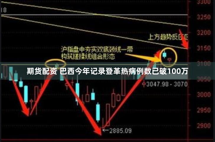 期货配资 巴西今年记录登革热病例数已破100万