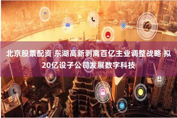 北京股票配资 东湖高新剥离百亿主业调整战略 拟20亿设子公司发展数字科技