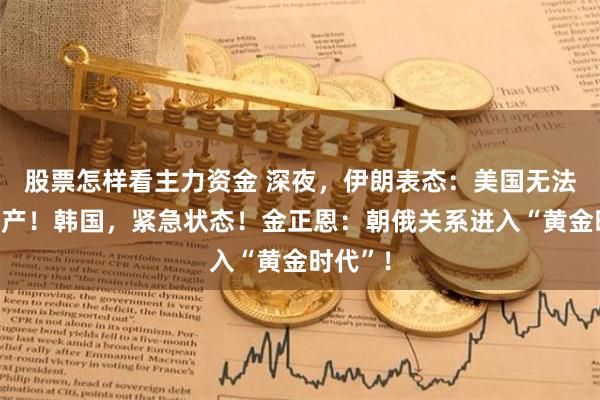 股票怎样看主力资金 深夜，伊朗表态：美国无法阻止增产！韩国，紧急状态！金正恩：朝俄关系进入“黄金时代”！