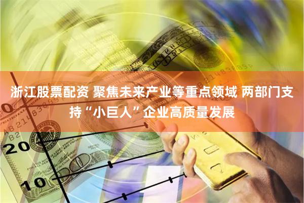 浙江股票配资 聚焦未来产业等重点领域 两部门支持“小巨人”企业高质量发展